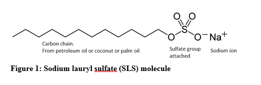 Structure of detergents sodium lauryl sulfate (a) and sodium lauryl